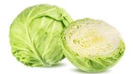 Cabbage