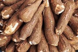 Cassava