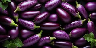 Eggplant