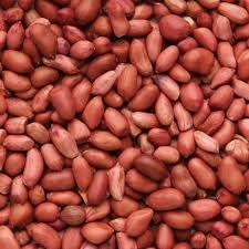 Groundnut Seeds