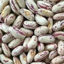 Masavu Beans