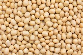 Soya Beans